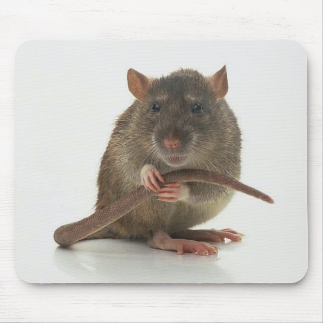 Rats! Mousepad (Vorne)