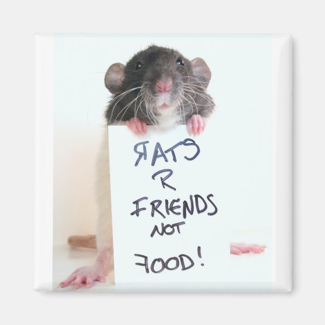 Rats R Friends Not Food 2 Magnet (Vorne)