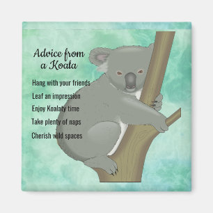 Ratschläge von einem Koala Design Magnet