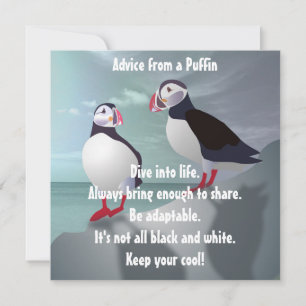 Ratschläge von einer Puffin Design-Flachkarte