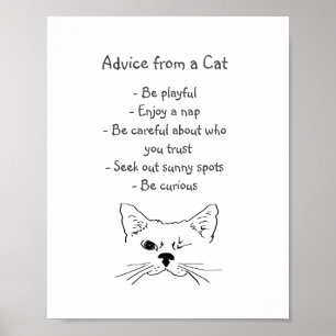 Ratschläge von Winking Cat Fun Animal Spaß Poster
