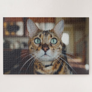 Rätsel der seltsamen Katze Puzzle