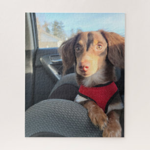 Rätsel mit dem Welpen Puzzle