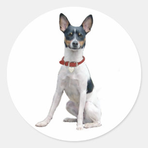 Ratt Terrier (A) Runder Aufkleber