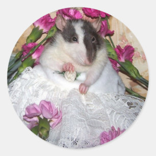 Ratte Bride Trudy Stickers