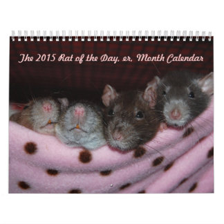 Ratte des Tages, äh, Monats-Kalender Kalender