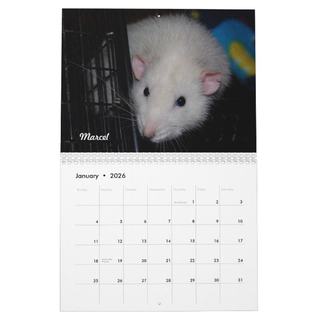 Ratte des Tages, äh, Monats-Kalender Kalender (Jan 2026)