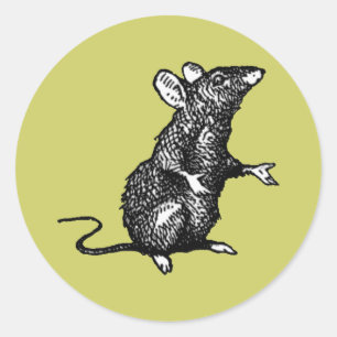 "Ratte-Gesicht"- kundenspezifisch Runder Aufkleber
