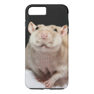 Ratte Handyhülle iPhone 8 Plus/7 Plus Hülle