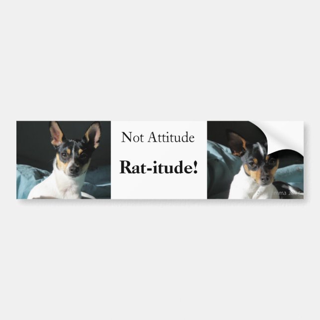Ratte-itude! Autoaufkleber (Vorne)