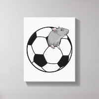 Ratte mit Fußball