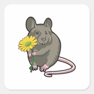 Ratte mit gelber Blume Quadratischer Aufkleber