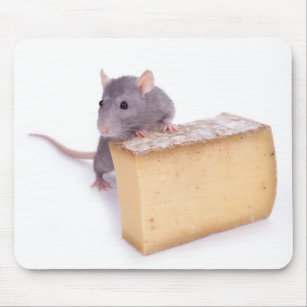 Ratte mit Käse Mousepad