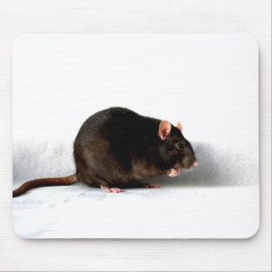 Ratte mpcna mousepad
