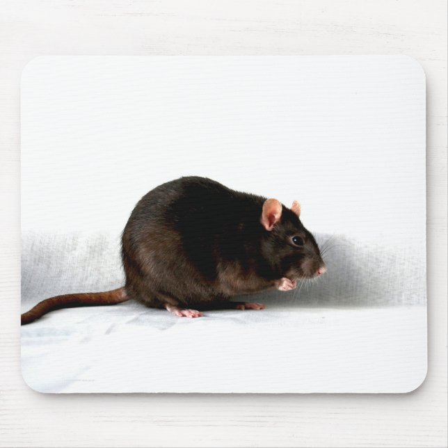 Ratte mpcna mousepad (Vorne)