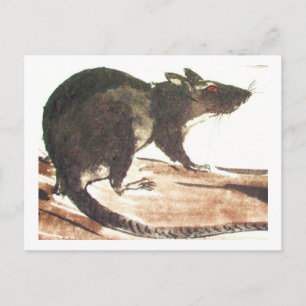 Ratte No. 01 * Rat * Ratten-Postkarten* Rat-Art-Po Postkarte