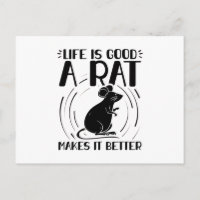 Ratte Pet | Geschenke für Rattentiere