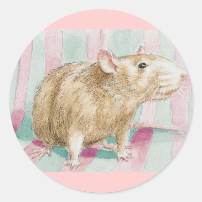 Ratte Runder Aufkleber (Vorderseite)