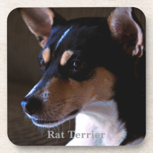 Ratte Terrier Untersetzer