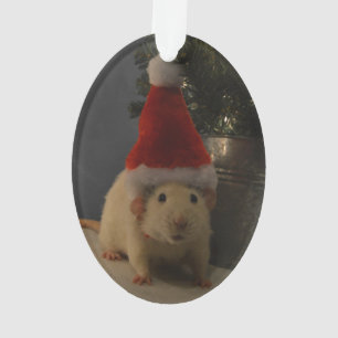 Ratte Weihnachtsmanns Dumbo Ornament