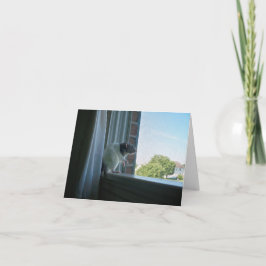 Ratte "Wish You Were here" Karte