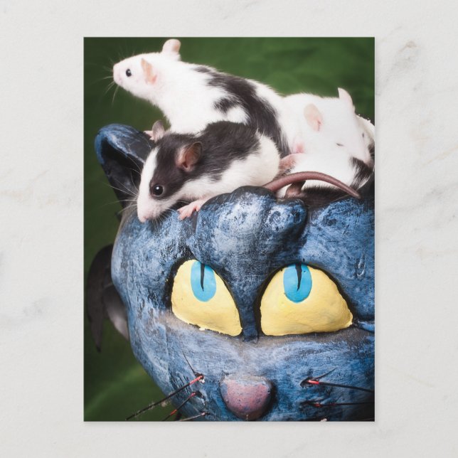 Ratten auf der Postkarte des Gehirns (Vorderseite)