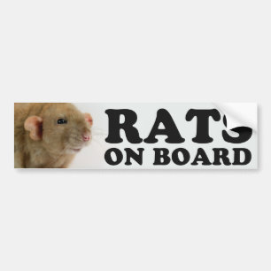 Ratten Autoaufkleber