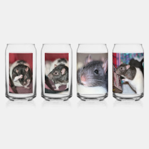 Ratten Dosenglas