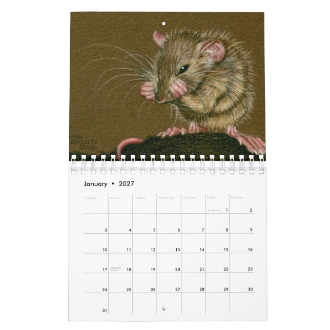 Ratten-Kalender 2011 durch Kathy Clemente Kalender (Jan 2027)