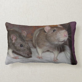 Ratten Kissen