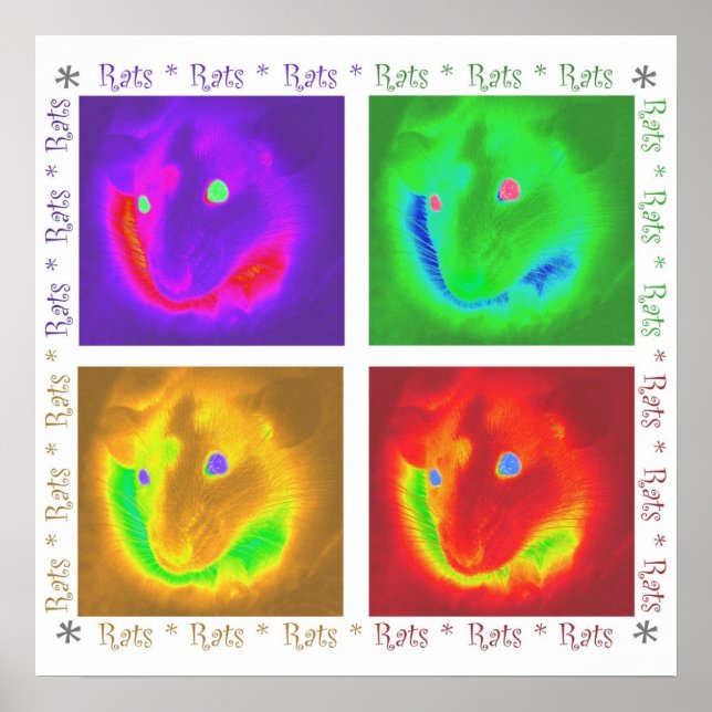 Ratten Rats Rats Poster (Vorne)