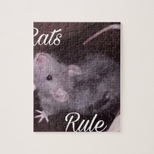 Ratten-Regel Puzzle