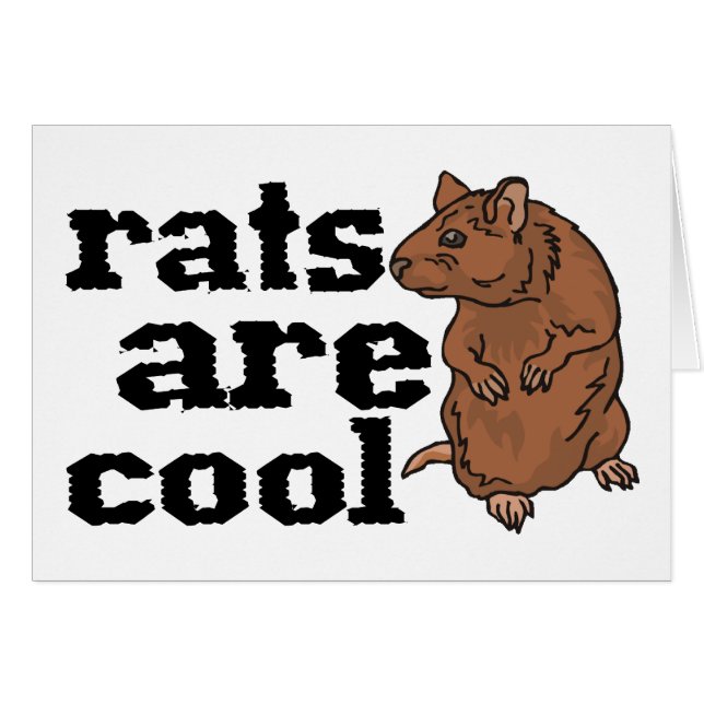 Ratten sind cool (Vorderseite (Horizontal))