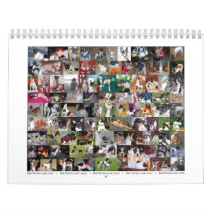 Ratten-Terrier-Kalender 2007 Kalender