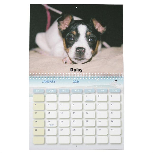 Ratten-Terrier-Kalender 2007 Kalender (Jan 2026)