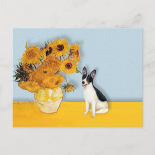Ratten Terrier - Sonnenblumen Postkarte