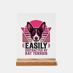 Ratten Terrier Vintage leicht ablenkbares Hundeshi Acrylschild