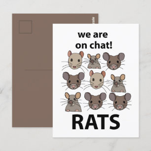 Ratten Tier Wir sind auf Chat Lustige Ratten Postkarte