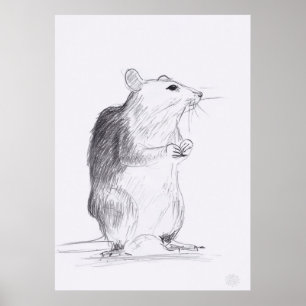 Ratten-ursprüngliches zeichnendes Plakat 24x36