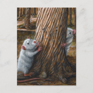 Ratten von alten Baumkronen verbergen und nach Pos Postkarte