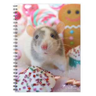 Rattenbuch Notizblock