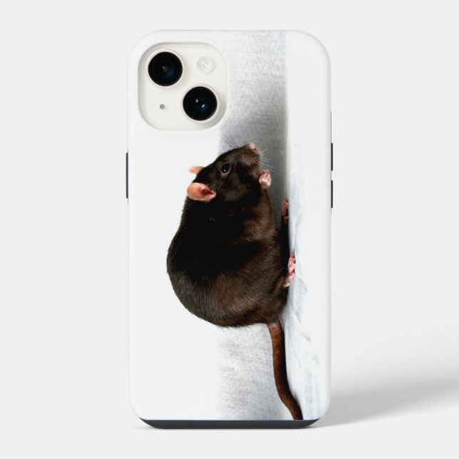 Ratteniphcnm iPhone Hülle (Rückseite)