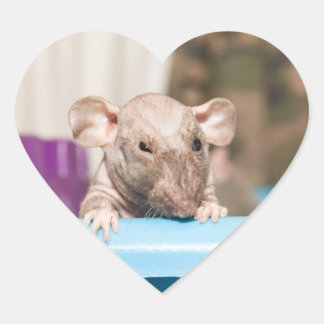 Rattenkleber Herz-Aufkleber