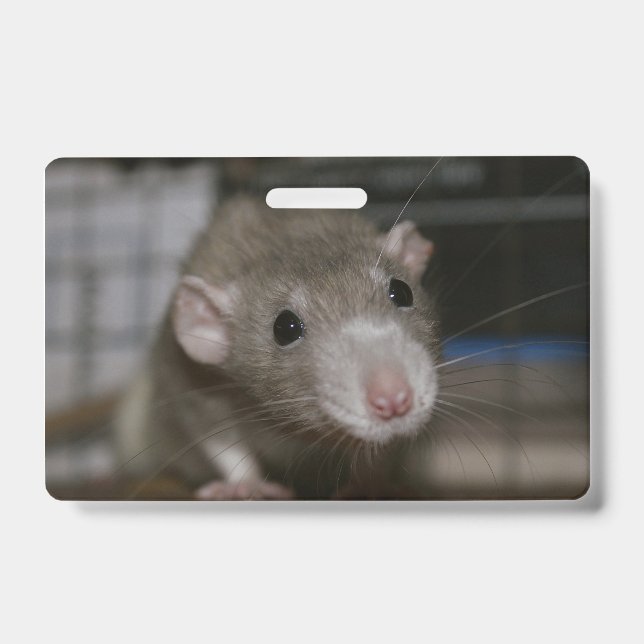 Rattenrat Ausweis (Vorderseite)