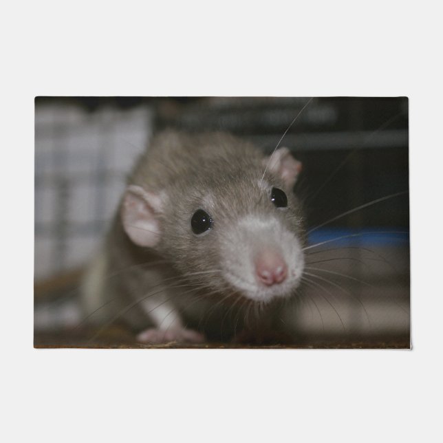 Rattenrat Fußmatte (Vorderseite)