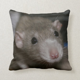 Rattenrat Kissen