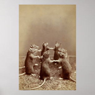 Rattenritual-Foto, Gruseliges Vintage-Tierbild Poster