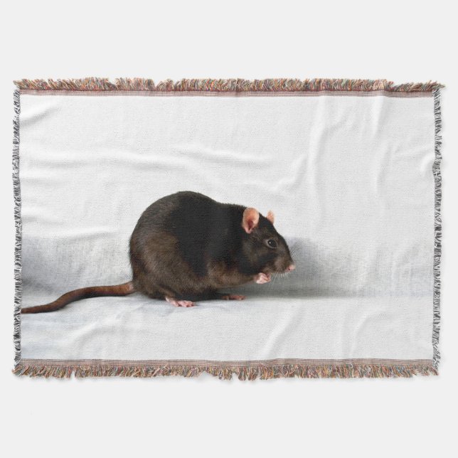 Rattentbcnm Decke (Vorderseite)