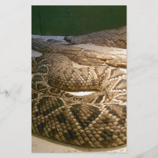 Rattle Snake