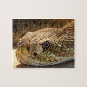 Rattle Snake Puzzle